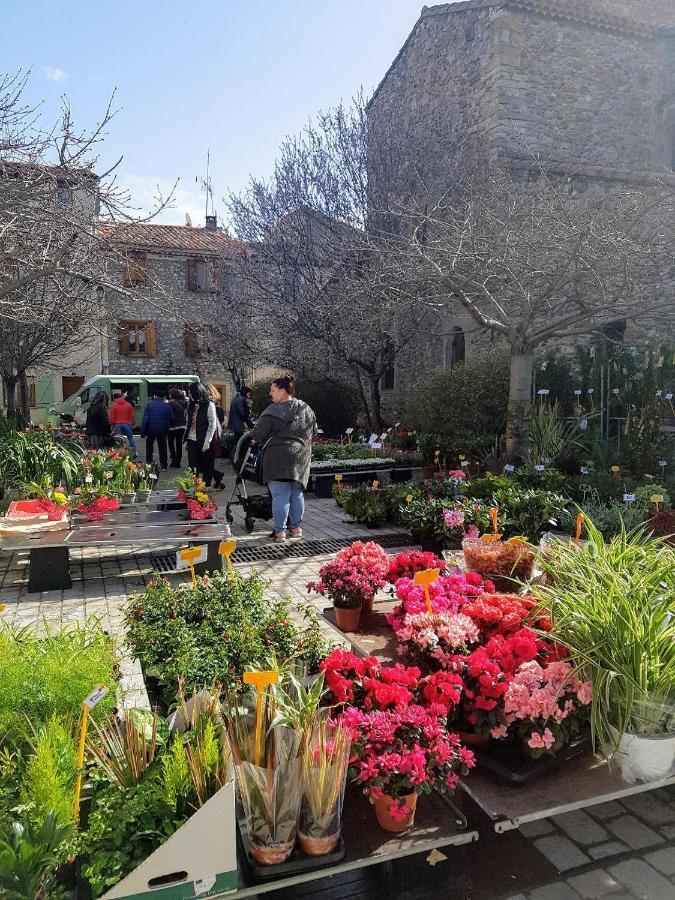 Mountain View Townhouse Quillan Bed & Breakfast Eksteriør bilde
